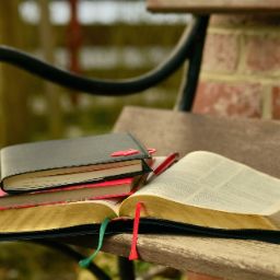 libri su panchina all'aperto