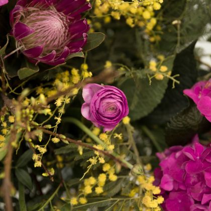 Festa della Donna Festa della Donna