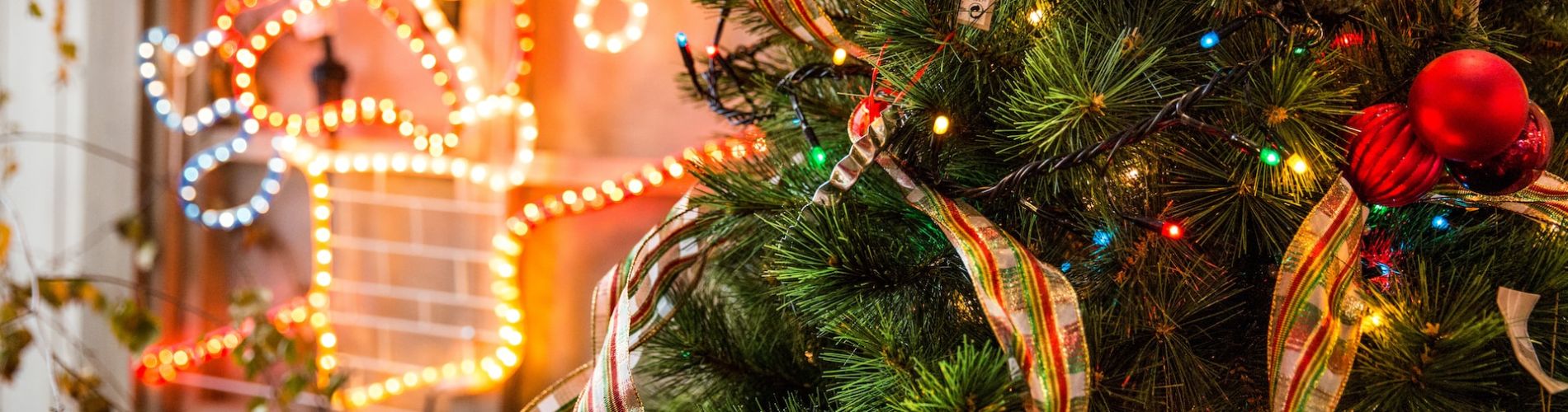 albero