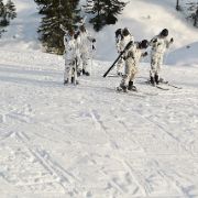 Forze armate alpine